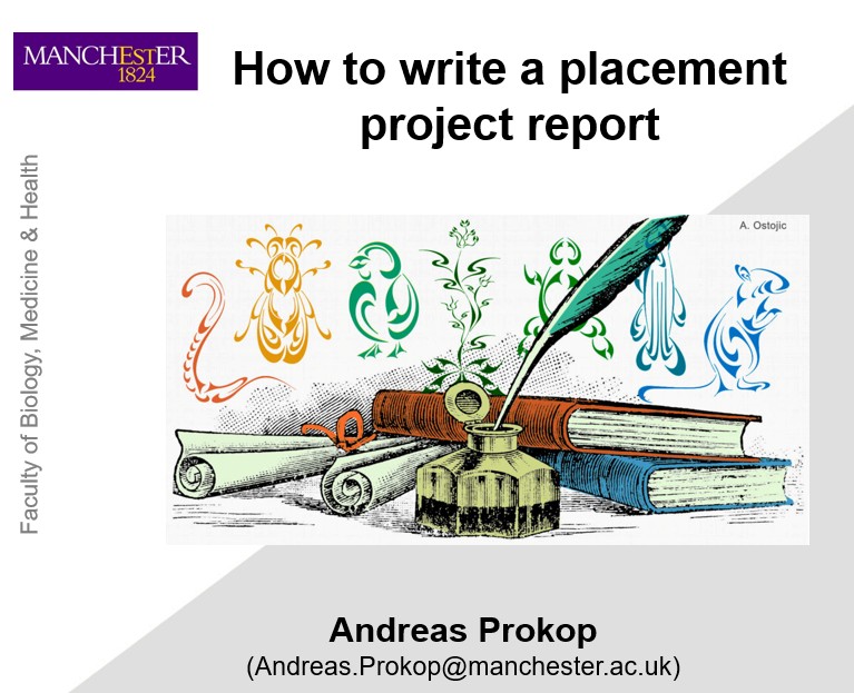 Dummy video preview image for video: Placement Reports - How To Write A Placement Project Report (Lab)