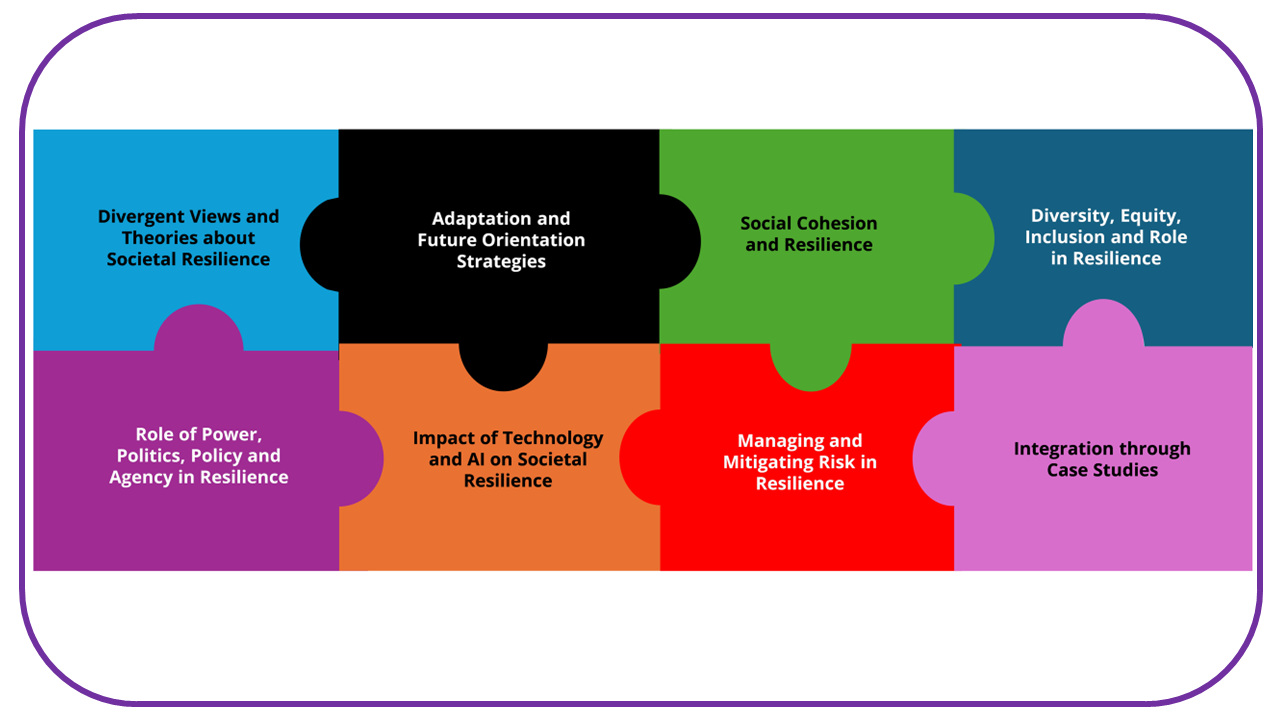 Dummy video preview image for video: MC3 - Community and Societal Resilience - Key Lessons