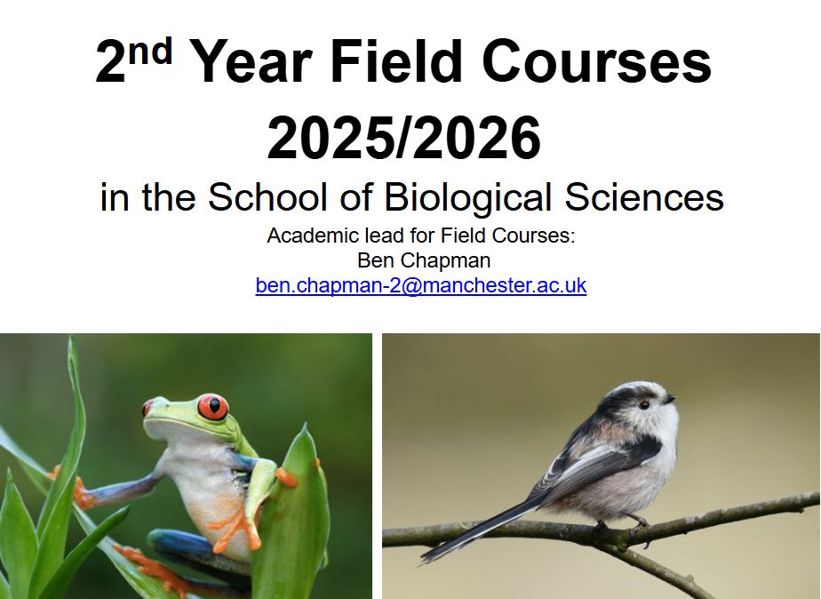 Dummy video preview image for video: Year 2 Field Course Talk (06 May 2025)