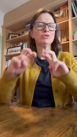 Dummy video preview image for video: Katherine Rogers Short introduction video in international sign NGT in education