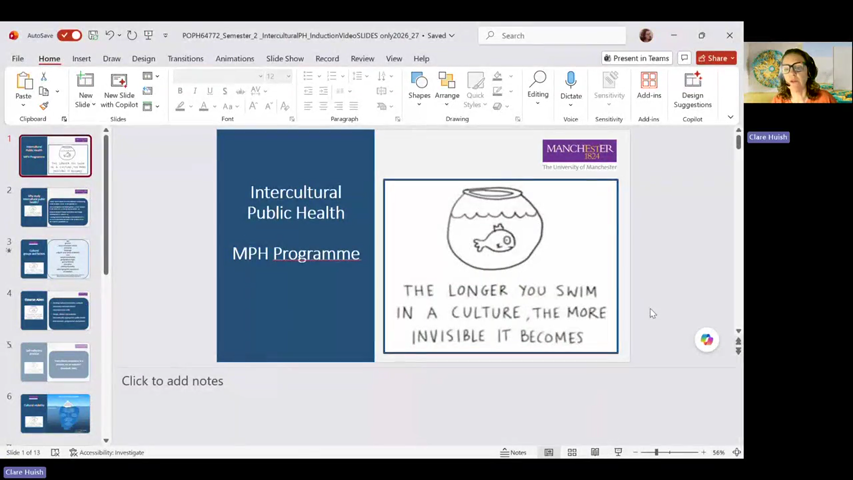 Dummy video preview image for video: Intercultural Public Health Introductory Video (MPH Programme)